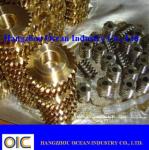 Brass Forged Worm Gear Pinion