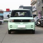 Affordable Mini Car Low Speed EV Vehicle for Your Business Needs