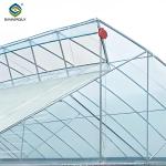 Gothic Frame Greenhouse Large Size Agricultural Multi Span Plastic Film
