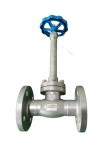SS304 PN40 Flange Type Cryogenic Globe Valve Long Stem Low Temperature