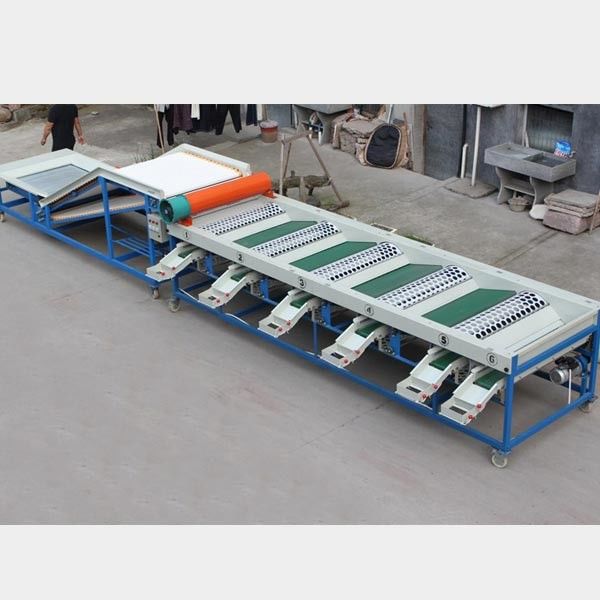 5-8 T / H Capacity Automatic Waxing Fruit Grading Machine