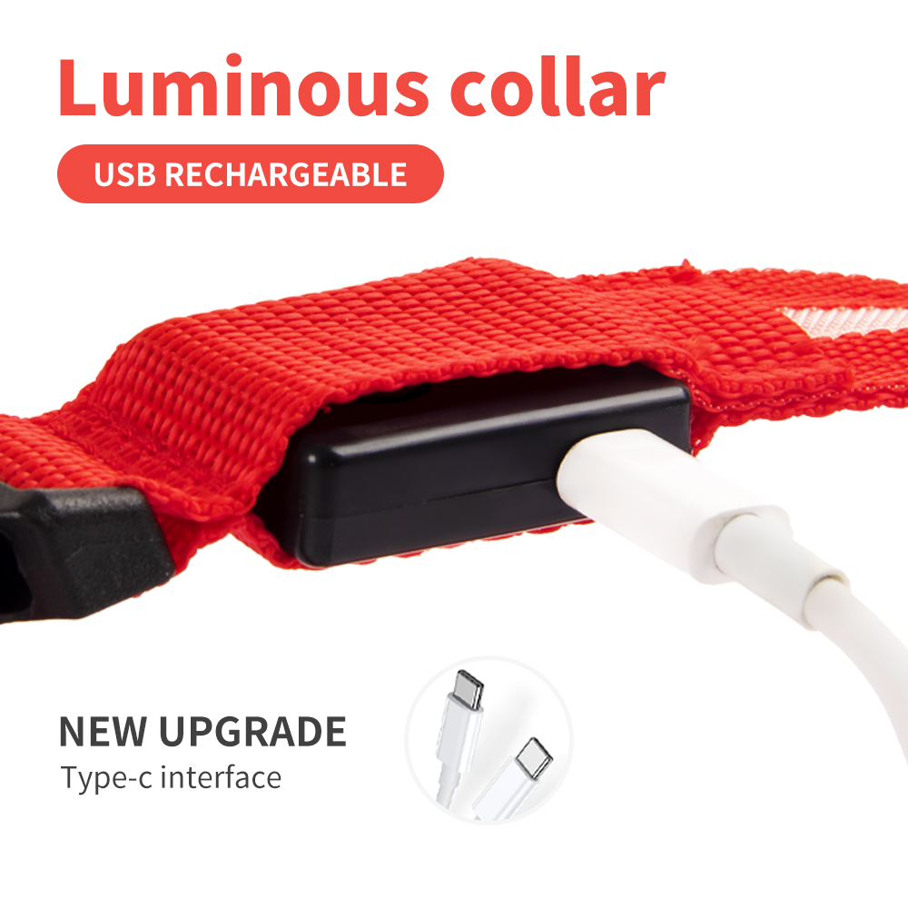 LED Dog Collar Waterproof Adjustable USB Type-C Recharge Solid Pattern Flashing Light Up