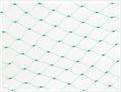 Quality Agriculture Anti Bird Netting , 10x10mm Mesh Extruded Square Mesh Bird Net wholesale