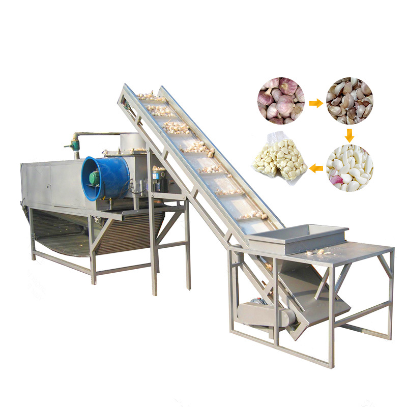 Automatic Stainless Steel Fruit Vegetable Processing Machine Electric Double Slot