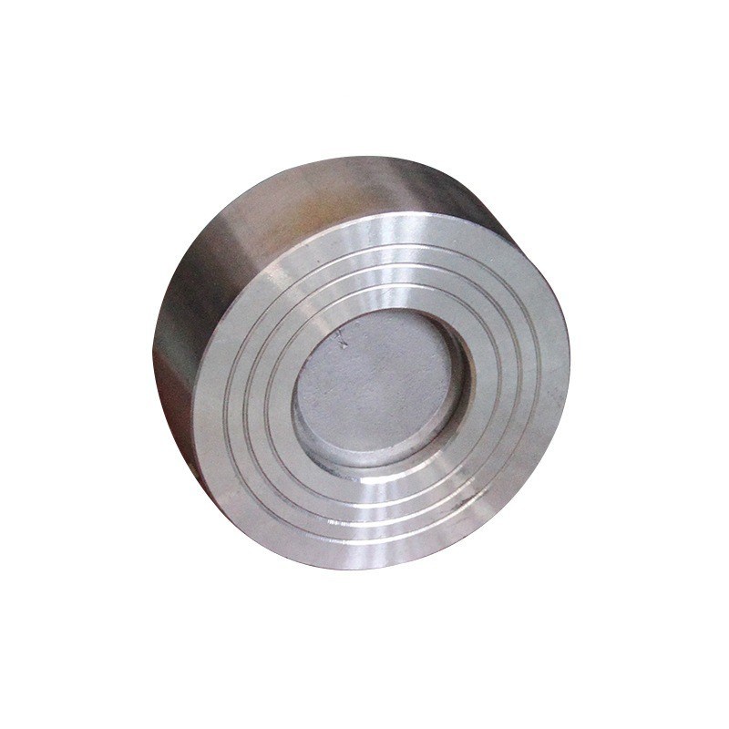 201/304 Stainless Steelpair Clip Lift Check Valve for Water Pump Hard Sealed