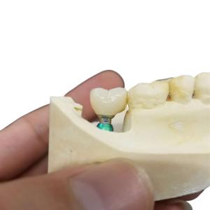 Quality Continuous Learning Educating The Dental Community wholesale