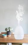 Led Light 15ml/hr 4w 70ml Car Aromatherapy Aroma Diffuser