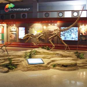 Quality Sunproof Resin Dinosaur Skeleton Gasosaurus Skull wholesale