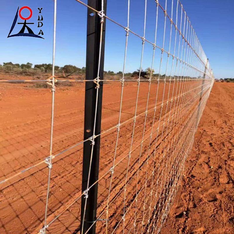 Hot Dip Galvanized Farm Woven Iron Wire Net Grassland Sheep Field Fence