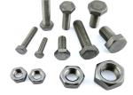 DIN934 M6 Flat Square Head Bolt ISO9001 Carbon Steel