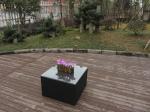 garden rattan sofa set