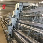 Automatic Layer Poultry Cage Chicken Farming Prefab House Complete Solutions