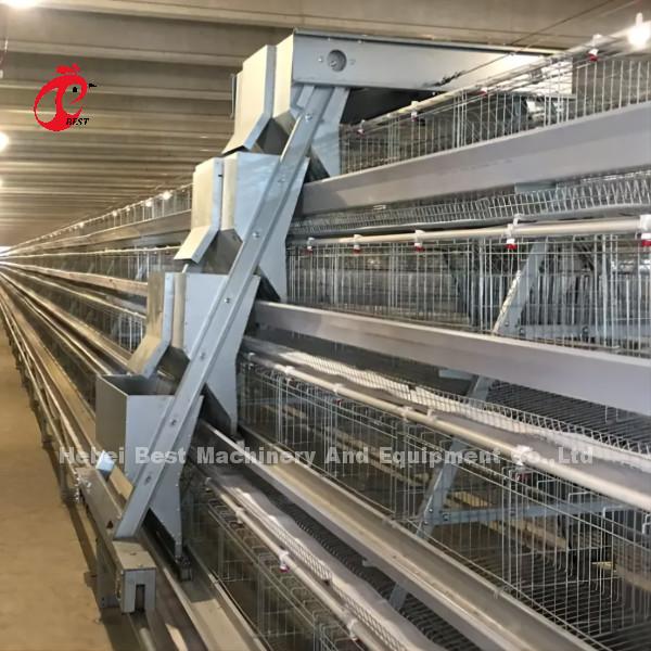 Automatic Layer Poultry Cage Chicken Farming Prefab House Complete Solutions