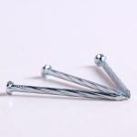 Customized Twisted Shank Nails High Hardness Building Twisted Steel Nails