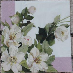 Quality Airlaid 25x25cm Printed Paper Napkin Disposable For 5 Star Hotel wholesale