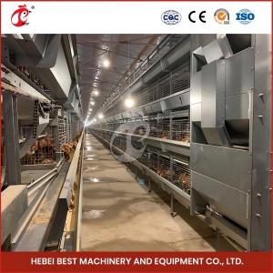 Quality 5 Tiers Layers Chicken Cages With Stainless Steel Wire Rose wholesale