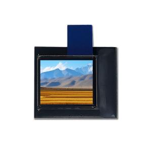 Quality 0.6 Inch Small OLED Screen For Wearable Devices wholesale