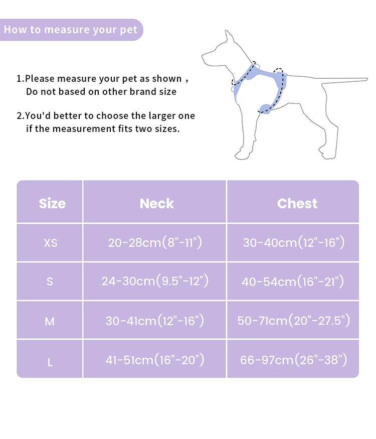 Neoprene Personalized Pet Dog Harness Leash and Collar Set for Adjustable Fit S/M/L