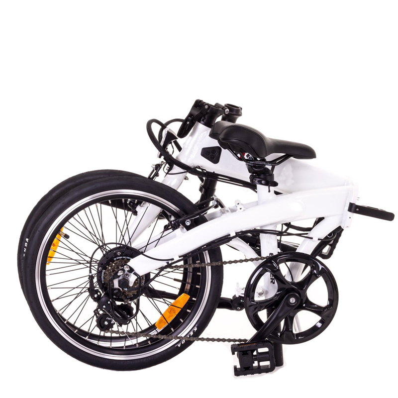 10Ah Motor Power Super Folding Electric Blue Bike with 36V 350W 20Inch Folding Ebike