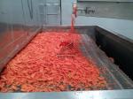 400kg Per Hour Fruit Dehydrator Machine Dehydrator Belt Vegetable Dryer Machine