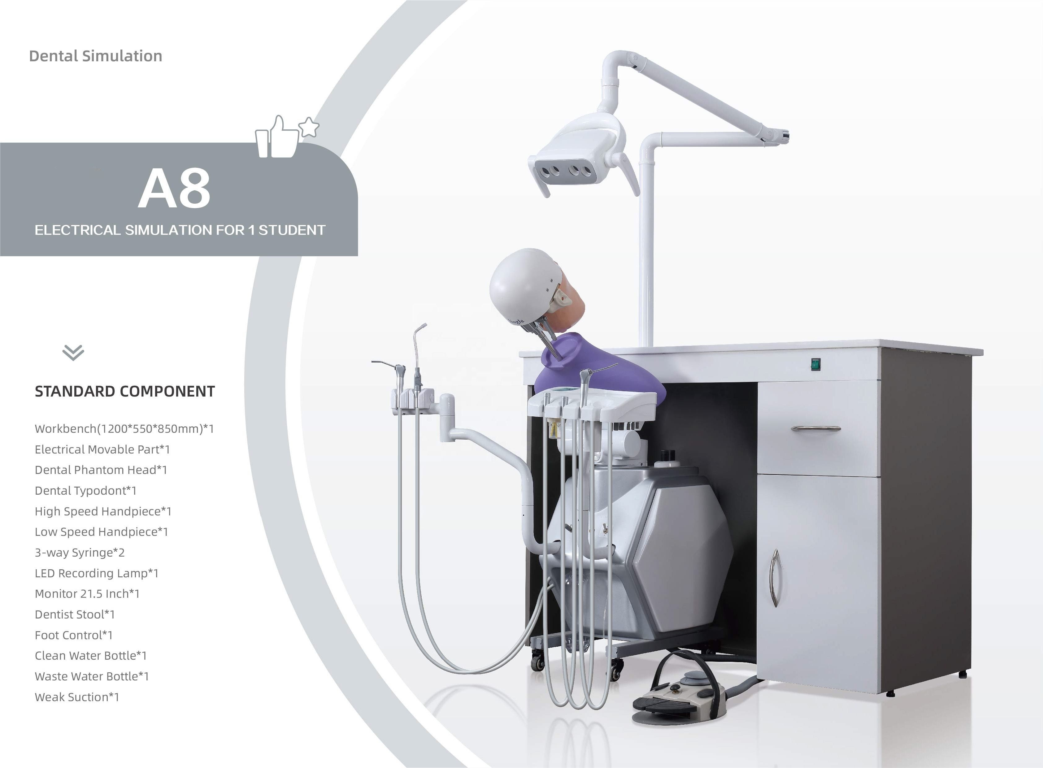 OEM Practical Phantom Head Dental Simulator A1 A3 A15 For Students