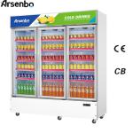Arsenbo Practical Commercial Beverage Refrigerator With 2 Glass Door