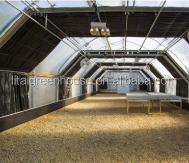 Greenhouse Design for Small Fish Farming and Poultry Cultivation Length Customizable