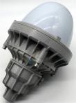 CREE Chip 220V 60Hz 30W Explosion Proof Led Flood Light