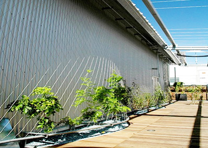 304 304L 316 316L Stainless Steel Plant Climbing Mesh