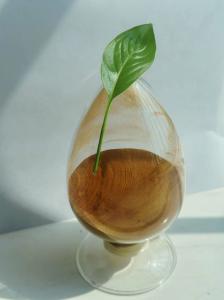 Quality Light Yellow Sodium Lignosulfonate Manufacturers Flocculant CAS 8061-51-6 wholesale