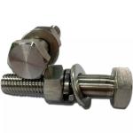 Stainless Steel 304 304L 316L 316Ti 317L 321 254SMO A453 660A Fasteners