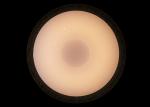Environmental Protection Round Ceiling Lamp 2800K～6000K Color Temperature