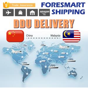 Quality 7 Days Storage Free DDU Shipping , Shipping From China To Malaysia wholesale