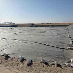 Quality HDPE Geomembrane for Fish Shrimp Pond in Indonesia 1mm Thickness Durable Material wholesale