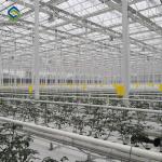 Multi Span 3.0m Arch Polycarbonate Greenhouses