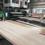Black Modern Door Engineered Wood Veneer Design 3100mm Customized
