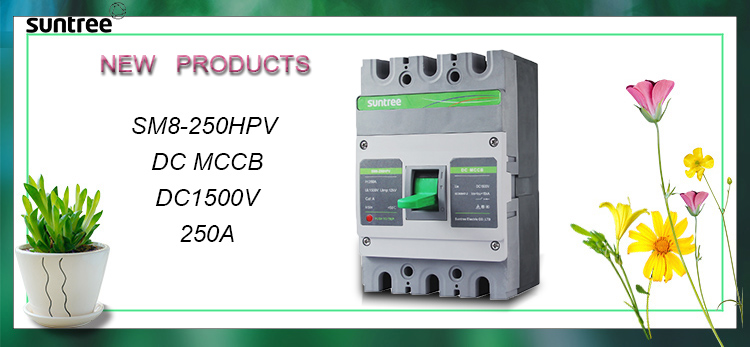 250 Amp 2 Poles DC Molded Case Circuit Breaker