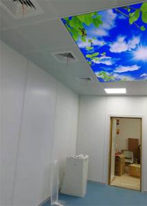 Quality Mri Copper White Swing Radiation Shielding Doors Brass Frame For Hospital wholesale