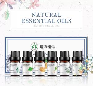 Quality 10ml 6pcs Aromatherapy Essential Oil Set Healthy Care Custmoized wholesale