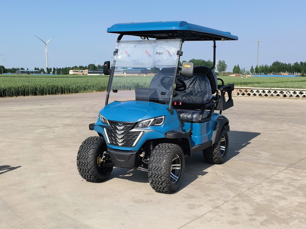 1740mm Wheelbase Two Seater Golf Cart With LCD Instrument Dashboard
