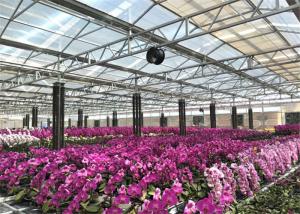 Quality Eco Friendly Materials Garden Glass Greenhouse Aluminium / Steel Metal Type wholesale