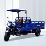 2022 High Popularity Adult Gasoline Motorcycle 250cc Adult Cargo Moto Truck