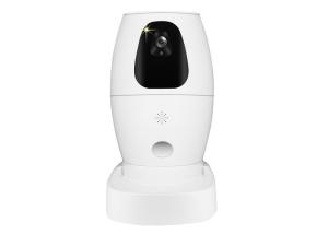 China Wifi Smart Automatic Night Vision 2.4G Digital Dog Feeder on sale