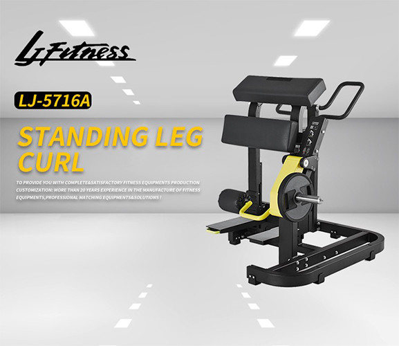 Gym Use Hammer Strength Plate Loaded Equipment , Standing Leg Curl Machine