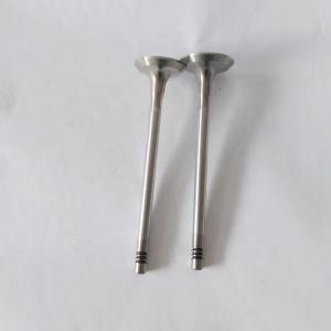 Quality Replacement Diesel Engine Parts J18 TD21 Intake And Exhaust Valve For Nissan 13201-24W00 wholesale