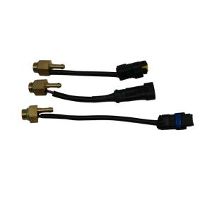 Quality LN-GTS Bronze CNG LPG Automotive Gas Temperature Sensor wholesale