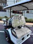 High Degree Electric Golf Cart E 3 Wheel 4 Wheel Drive Lifted Street Legal Club