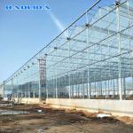 Multi Span Galvanized Steel Frame Glass Covering Venlo Glass Greenhouse
