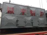 High Thermal Efficiency Biomass Wood Boiler Environment Protection
