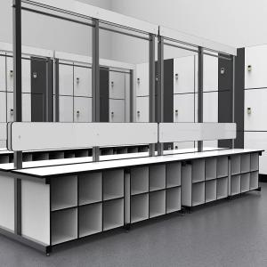 Quality Kindergarten Workplace Lab Cupboards Wooden Furniture Digital HPL Lockers wholesale